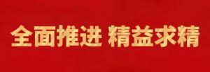 履踐致遠(yuǎn)向未來 | 洛陽正大精英特訓(xùn)營(yíng)“磐石計(jì)劃”精益生產(chǎn)項(xiàng)目召開復(fù)盤追蹤會(huì)