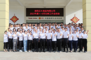 總結(jié)過(guò)去，計(jì)劃未來(lái)，協(xié)同創(chuàng)新，再創(chuàng)佳績(jī)！洛陽(yáng)正大舉行2023年上半年工作總結(jié)會(huì)議